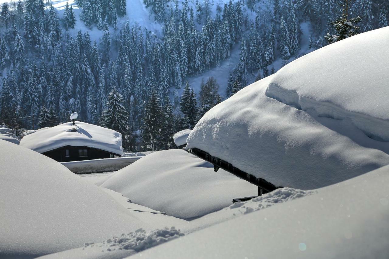 Studio "Children Of Powdersnow" Muhlbach Am Hochkonig Exterior photo